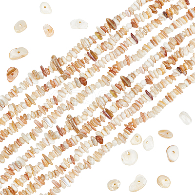 2 Strands Natural Freshwater Shell Beads Strands G-BBC0001-43B-1