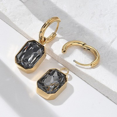 Ion Plating(IP) 304 Stainless Steel Hoop Earring EJEW-C017-06G-02-1