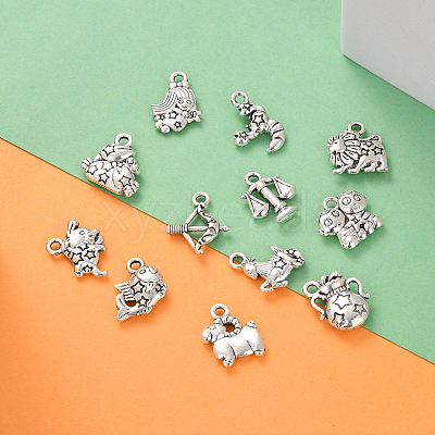 Zinc Alloy Charms PALLOY-CJ0001-100-1