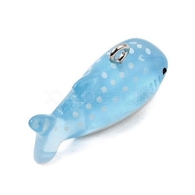 Transparent Acrylic Pendants AC-CBABCB3-02-1