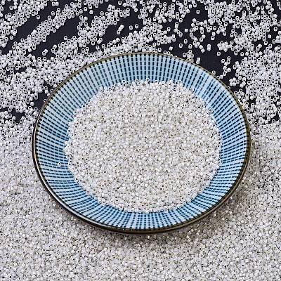 MIYUKI Delica Beads X-SEED-J020-DB0221-1