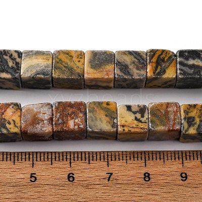 Natural Map Stone Beads Strands G-T139-8x8-45B-1