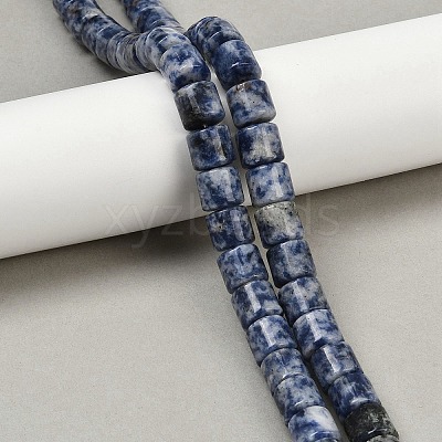 Natural Blue Spot Jasper Beads Strands G-G275-D21-10x10mm-1