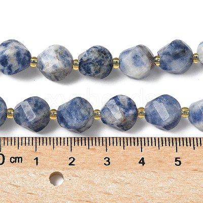 Natural Blue Spot Jasper Beads Strands G-U023-A05-01-1
