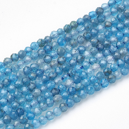 Natural Apatite Beads Strands G-T064-17-3mm-1
