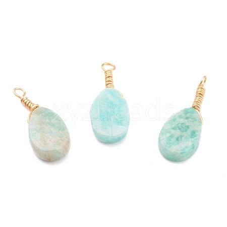 Natural Amazonite Pendants PALLOY-JF00606-1