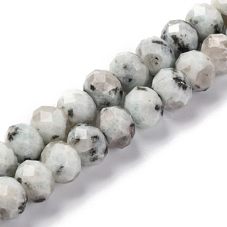 Natural Sesame Jasper Beads Strands G-K380-A08-01-1