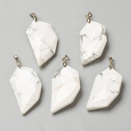 Natural Howlite Pendants G-P445-D05-1