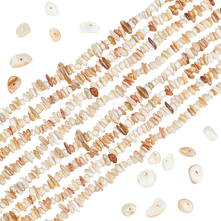 2 Strands Natural Freshwater Shell Beads Strands G-BBC0001-43B-1