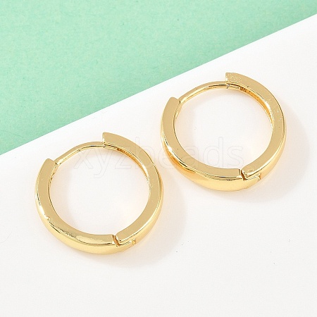 Brass Hoop Earrings EJEW-A156-09B-G-1