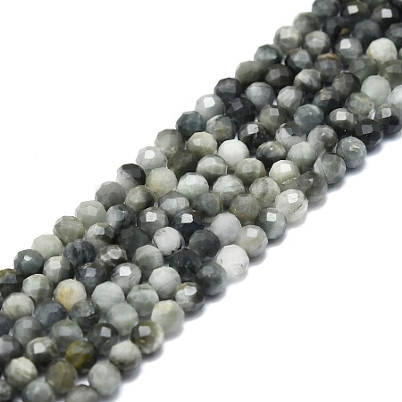 Natural Hawk's Eye Beads Strands G-P457-A03-06-1