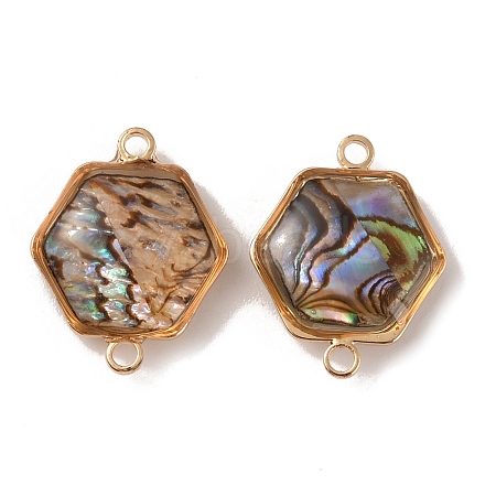 Natural Abalone Shell/Paua Shell Connector Charms KK-WH0031-05B-1