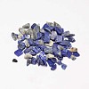 Natural Lapis Lazuli Chip Beads G-L453-05-1