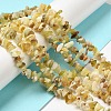 Natural Yellow Opal Chip Beads Strands G-G905-15-2
