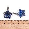 Natural Lapis Lazuli Pendants G-Q172-09P-01-3