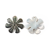 Natural Black Lip Shell Pendants SSHEL-T012-10-3