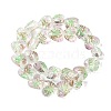 Handmade Transparent Lampwork Beads BLOW-D300-07C-2