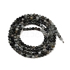 Natural Eagle Eye Stone Beads Strands G-RM250101-E6-5
