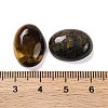 Natural Tiger Eye Cabochons G-B085-06E-04-3