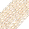 Natural Cultured Freshwater Pearl Beads Strands PEAR-L034-06D-2