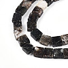 Natural Biotite Beads Strands G-N346-05A-01-4
