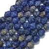 Natural Sodalite Beads Strands G-K389-D10-01-1