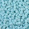 Opaque Acrylic Beads OACR-B025-06G-3