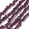 Natural Garnet Chip Beads Strands G-L491-06-1