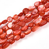 Natural White Shell Beads Strands SHEL-N036-21F-1