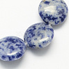 Natural Blue Spot Jasper Beads Strands G-S110-12mm-13-1