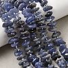 Natural Tanzanite Beads Strands G-L649-C07-01-1