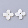 Freshwater Shell Beads SHEL-S276-58-2