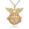 Golden Tone Brass Hollow Round Cage Pendants KK-J233-07G-1