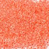 8/0 Transparent Glass Seed Beads SEED-F003-03B-11-3