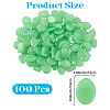 1 Set Resin Luminous Glow in the Dark Pebbles Stone DJEW-CN0001-40D-2