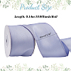 Polyester Ribbon OCOR-WH0109-059A-2
