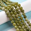 Natural Xinyi Jade/Chinese Southern Jade Beads Strands X-G-T055-8mm-15-6