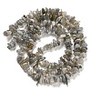 Natural Labradorite Chip Bead Strands G-M205-13-4