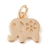 Brass Charms KK-N256-26G-1