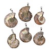 Snail Fossil Pendants G-D051-1-1