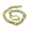 Natural Peridot Beads Strands G-P332-48-01-2