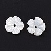 Natural Trochid Shell/Trochus Shell Beads SHEL-P014-02A-3