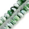 Handmade Lampwork Beads Strands LAMP-T007-13Q-1