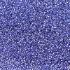 MIYUKI Delica Beads SEED-J020-DB0243-2