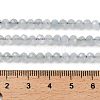 Natural Aquamarine Beads Strands G-E411-19E-4mm-01-3