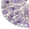 Natural Amethyst Beads Strands G-K389-A43-01-3