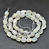 Natural White Moonstone Beads Strands X-G-O186-C-04-3