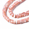 Natural Trochus Shell Beads Strands X-SHEL-S278-027H-3