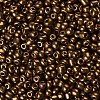 6/0 Glass Seed Beads SEED-US0003-4mm-601-2