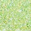 Transparent Colours Glass Seed Beads SEED-Q042-01A-A09-3